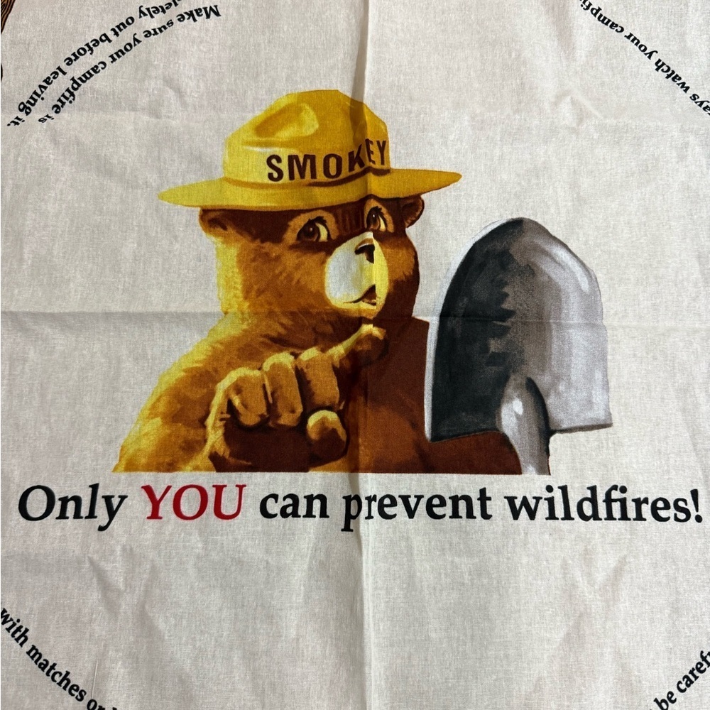 Vintage Smokey The Bear Bandana Scarf Handkerchief Prevent Wildfires 20” X 20” - Picture 2 of 5